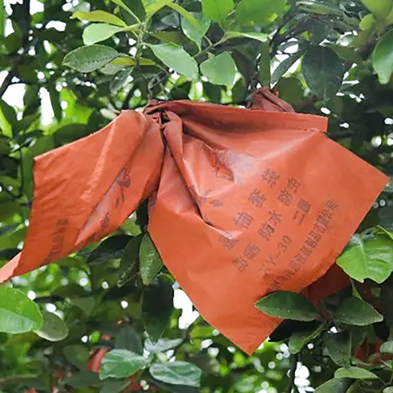 Borsa di protezione Pomelo